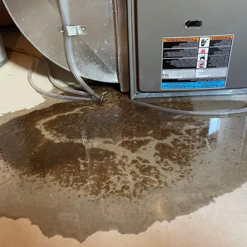 Pipe Burst and Leak Restoration in Cheyenne County, CO